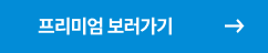 프리미엄버튼