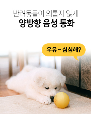 사례5_로보뷰A4